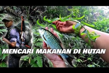 hqdefault YOUTUBEチャンネル「Frugal Outdoors & Camping」で紹介されました